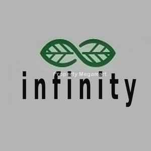 Infinity Infotech Parks Ltd logo